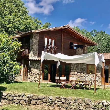 Quinta Dos Carvalhos The Wine House Farm In Center Of Lamego - Capital Of The Douro Villa Exterior photo