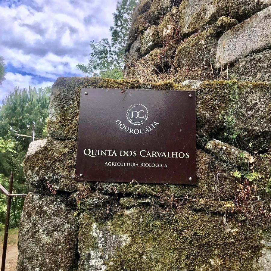 Quinta Dos Carvalhos The Wine House Farm In Center Of Lamego - Capital Of The Douro Villa Exterior photo