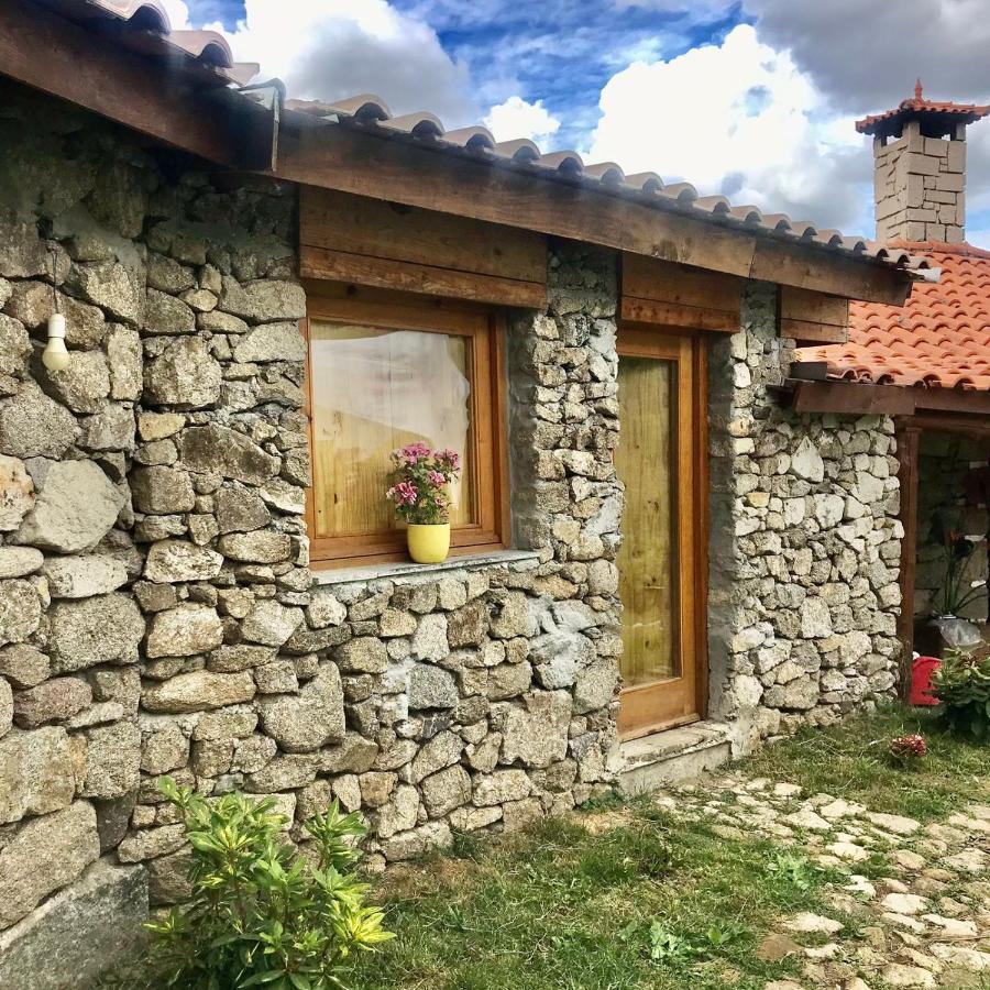 Quinta Dos Carvalhos The Wine House Farm In Center Of Lamego - Capital Of The Douro Villa Exterior photo