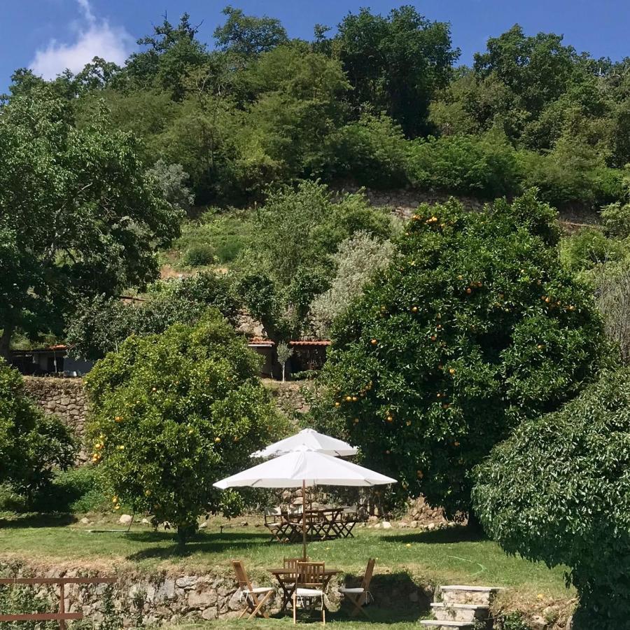 Quinta Dos Carvalhos The Wine House Farm In Center Of Lamego - Capital Of The Douro Villa Exterior photo