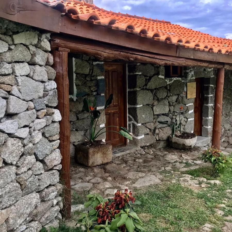 Quinta Dos Carvalhos The Wine House Farm In Center Of Lamego - Capital Of The Douro Villa Exterior photo