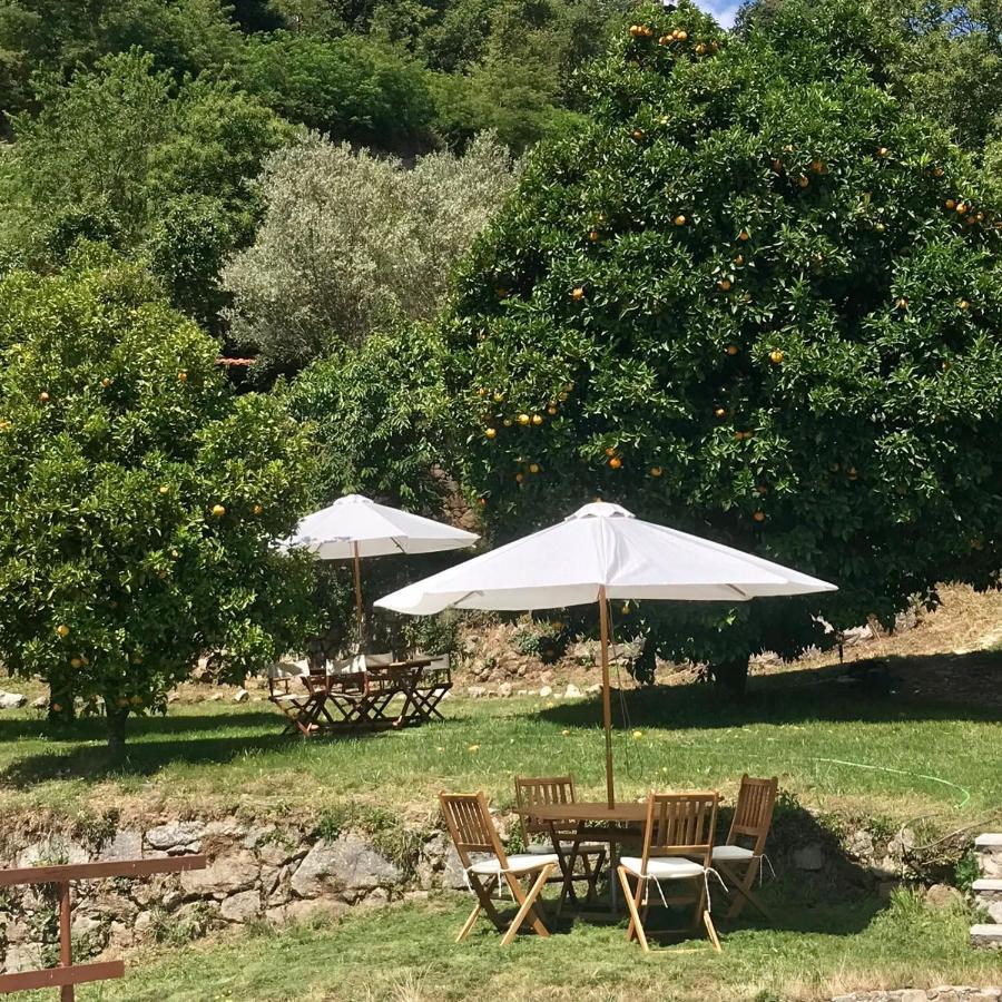 Quinta Dos Carvalhos The Wine House Farm In Center Of Lamego - Capital Of The Douro Villa Exterior photo