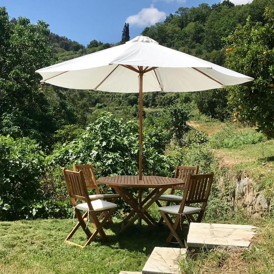 Quinta Dos Carvalhos The Wine House Farm In Center Of Lamego - Capital Of The Douro Villa Exterior photo